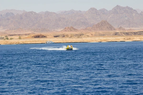 Powerboat racing at high speed in the Red Sea — Stock Photo, Image