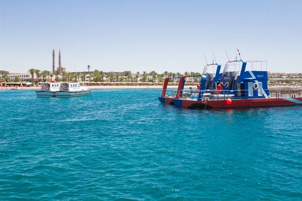 Egypt. Red Sea — Stock Photo, Image