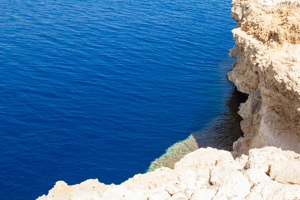 Rode Zee kust koraalrif — Stockfoto