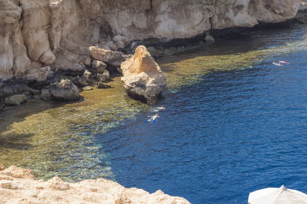 Egypte. Snork taalkundigen onderzoeken koraalrif — Stockfoto