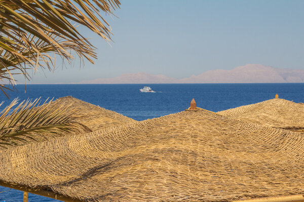 Beach landscape