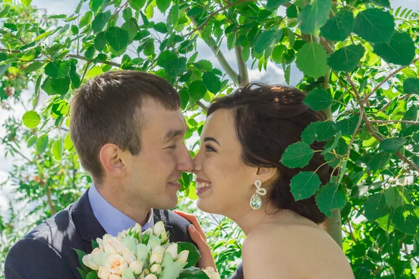 Retrato de los novios — Foto de Stock