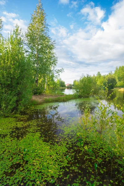 Lago forestale — Foto Stock