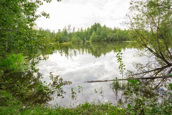 Lago forestale — Foto Stock