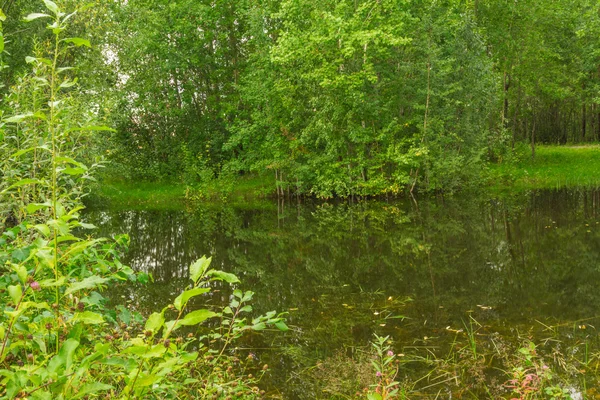 Lago da floresta — Fotografia de Stock