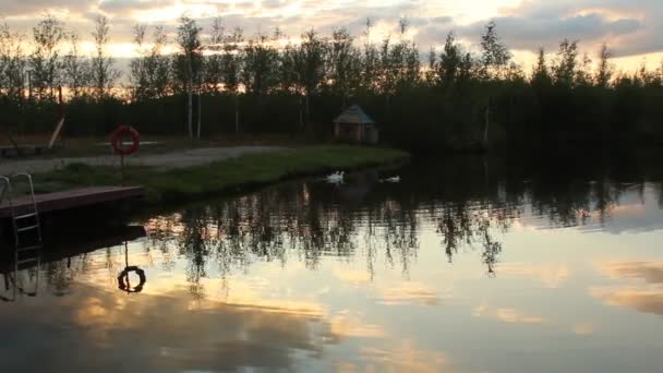 At the pond — Stock Video