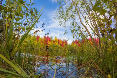 sonbahar yaklaşımlar