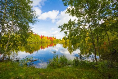sonbahar yaklaşımlar