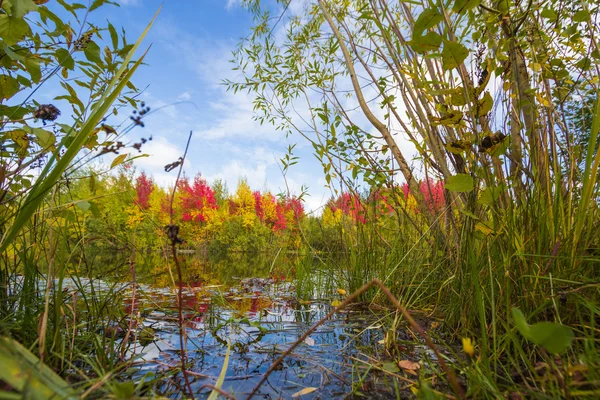 sonbahar yaklaşımlar