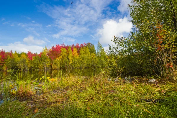 Herbst naht — Stockfoto