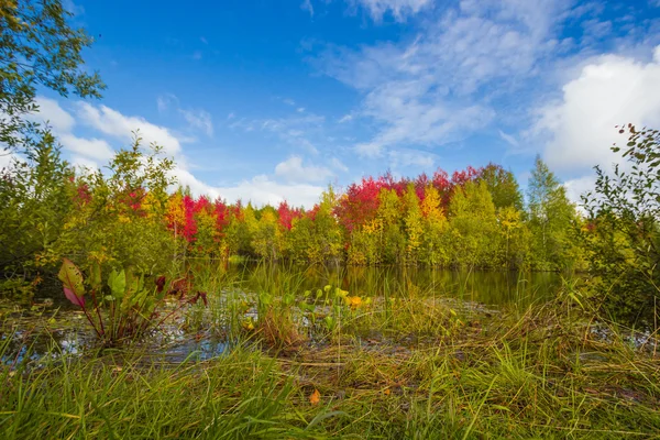 sonbahar yaklaşımlar