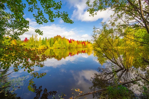 sonbahar yaklaşımlar