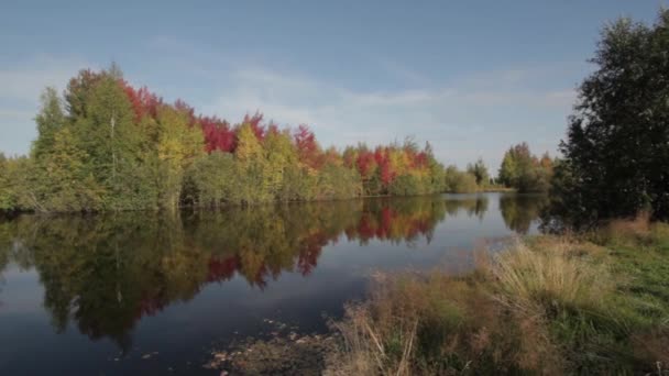 На відкритому повітрі — стокове відео