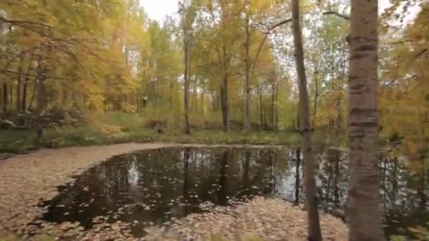 En plein air Dans les bois 