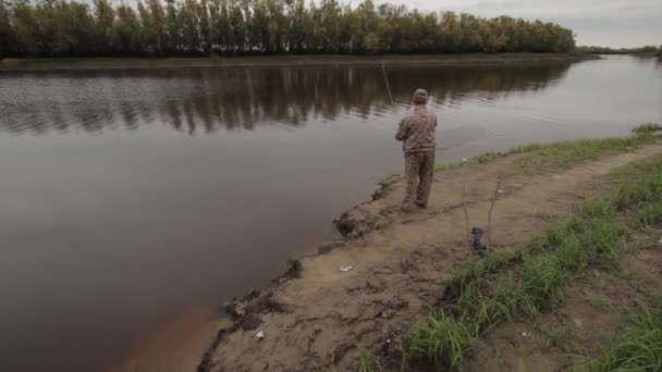 У лісі — стокове відео