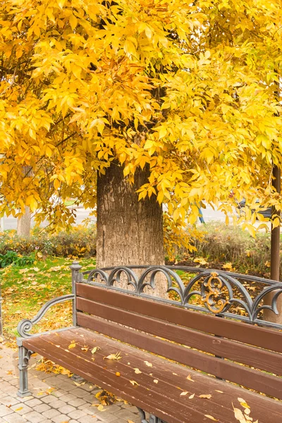 Şehir Parkı