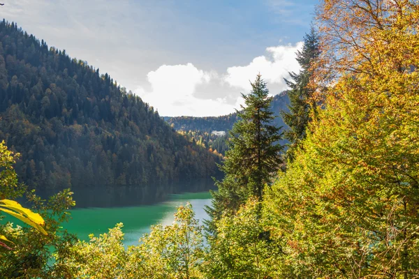 Lake Riza  Abkhazia — Stock Photo, Image