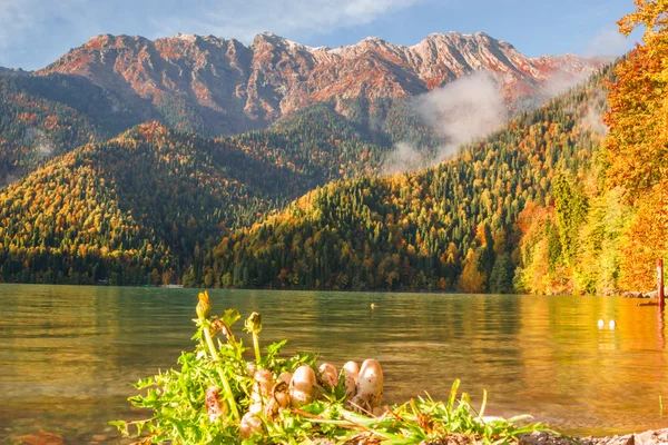 Lago Riza Abjasia — Foto de Stock