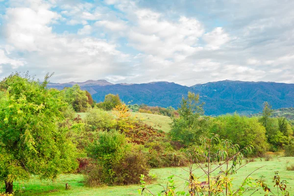 Paisaje natural de Abjasia — Foto de Stock