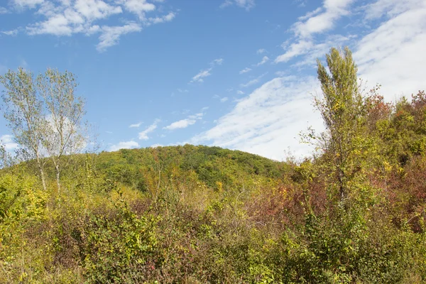 Přírodní krajina Abcházie — Stock fotografie