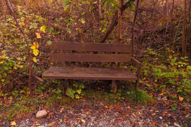 kahverengi ahşap Bank