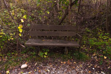 kahverengi ahşap Bank