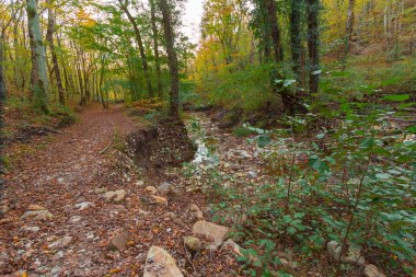 kahverengi ahşap Bank