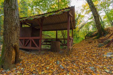 Forest park turistler için