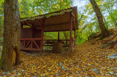 Forest park turistler için