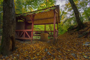 Forest park turistler için