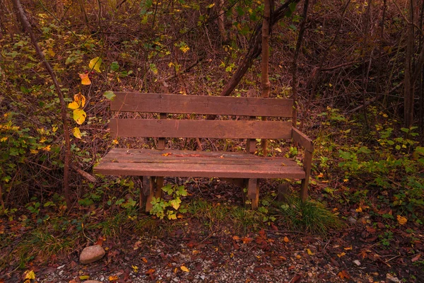 Bruin Houten bench — Stockfoto