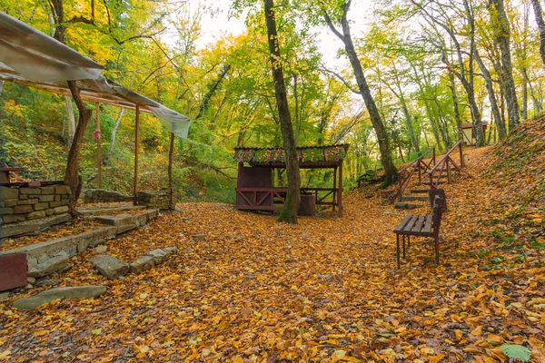 Parque forestal para turistas — Foto de Stock