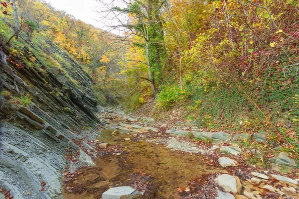 In der Bergschlucht — Stockfoto