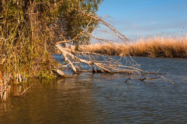 Astrahan nehir expanses  