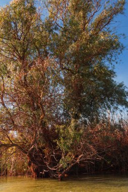 Astrahan nehir expanses  