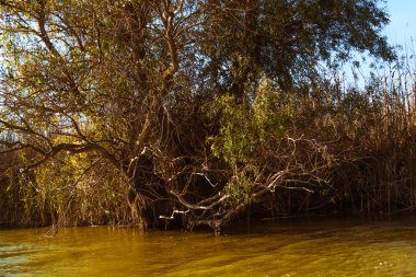 Astrahan nehir expanses  