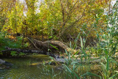 Astrahan nehir expanses  