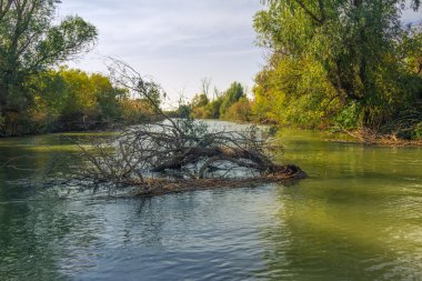 Astrahan nehir expanses  