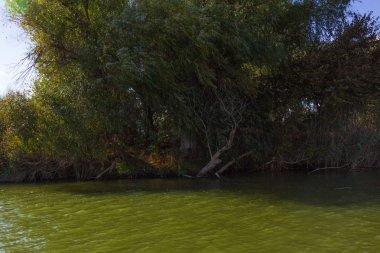 Astrahan nehir expanses  