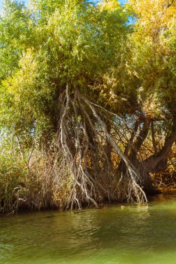 Astrahan nehir expanses  