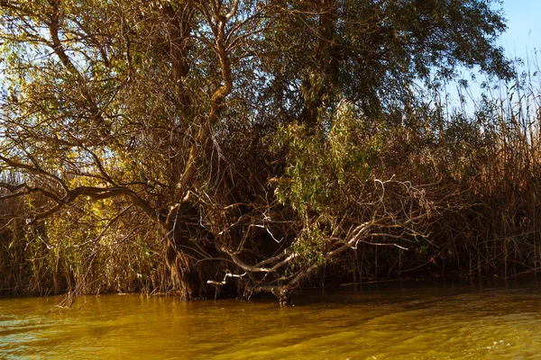 Astrahan nehir expanses  