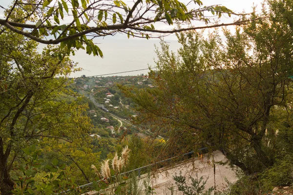 Természeti táj Abházia — Stock Fotó