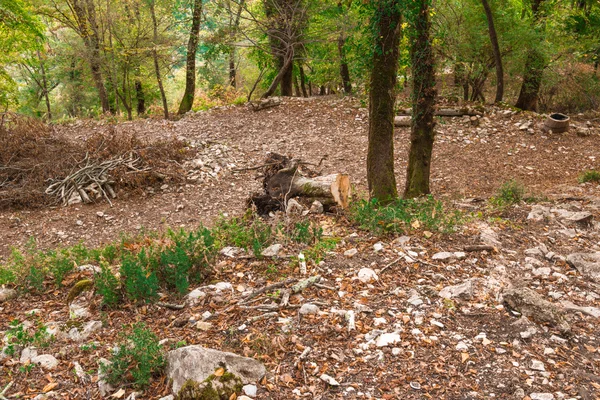 Natürliche Landschaft von Abchasien — Stockfoto