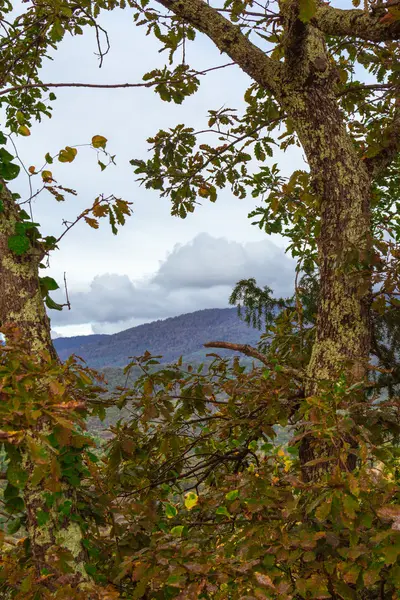 Paisagem natural da abcásia — Fotografia de Stock