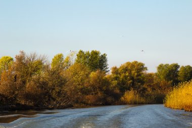 Astrahan nehir expanses  