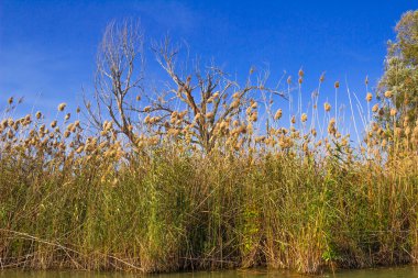 Astrahan nehir expanses  