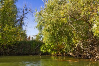 Astrahan nehir expanses  