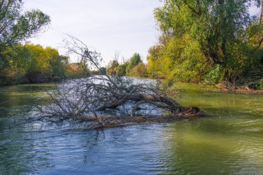 Astrahan nehir expanses  