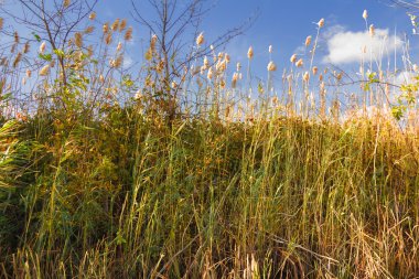 Astrahan nehir expanses  