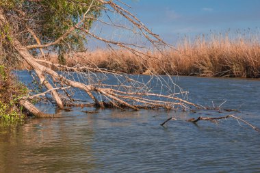 Astrahan nehir expanses  